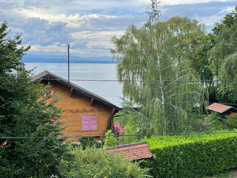 La Veranda De La Mouette Thonon-les-Bains Bagian luar foto